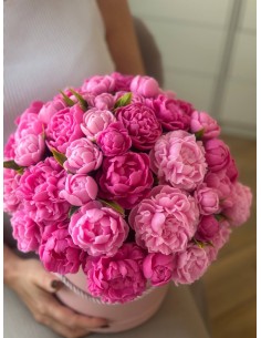 Bukiet Piwonii XXXXL+