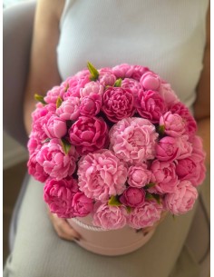 Bukiet Piwonii XXXXL+ 2