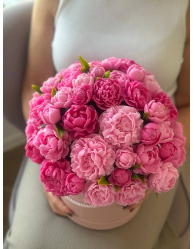 Bukiet Piwonii XXXXL+