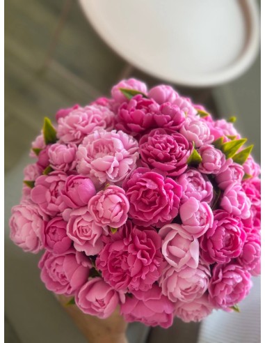 Bukiet Piwonii XXXXL+