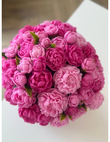 Bukiet Piwonii XXXXL+